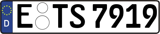 E-TS7919