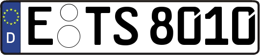 E-TS8010