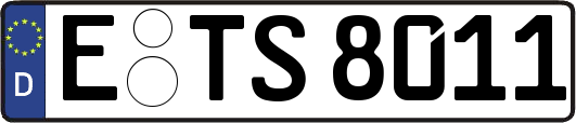 E-TS8011