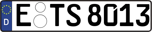 E-TS8013