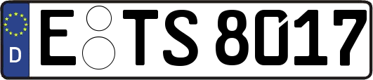 E-TS8017