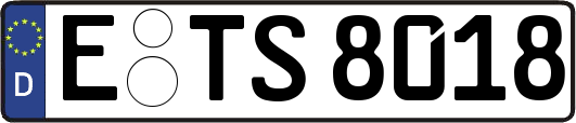 E-TS8018