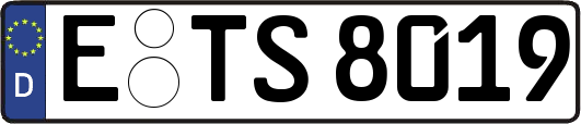 E-TS8019