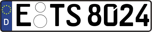 E-TS8024