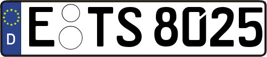 E-TS8025