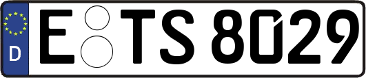 E-TS8029