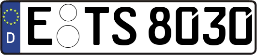 E-TS8030