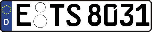 E-TS8031