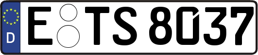 E-TS8037