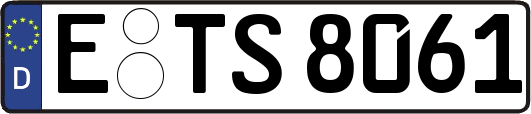 E-TS8061