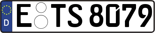 E-TS8079