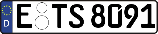 E-TS8091