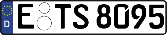 E-TS8095