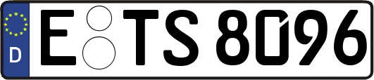 E-TS8096
