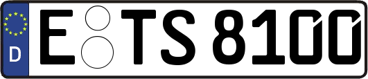 E-TS8100