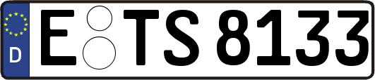 E-TS8133