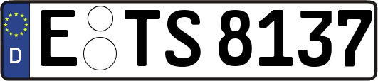 E-TS8137