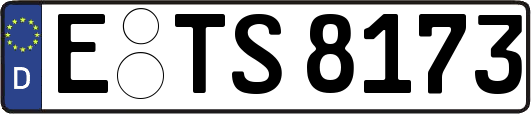 E-TS8173