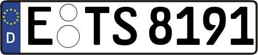 E-TS8191