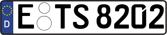 E-TS8202