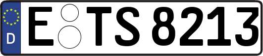 E-TS8213