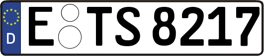 E-TS8217
