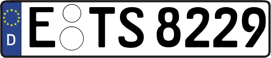 E-TS8229