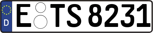 E-TS8231