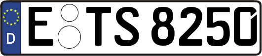 E-TS8250