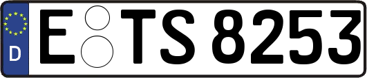 E-TS8253