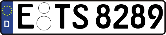E-TS8289