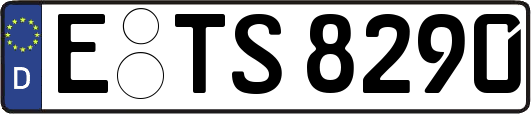 E-TS8290