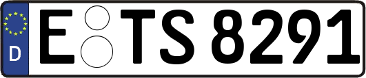 E-TS8291