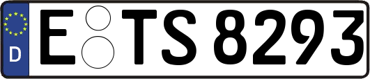E-TS8293