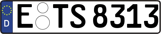 E-TS8313