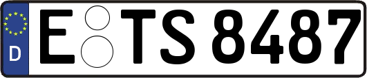 E-TS8487