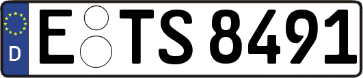E-TS8491