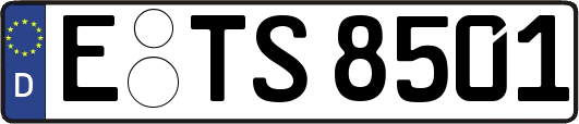 E-TS8501