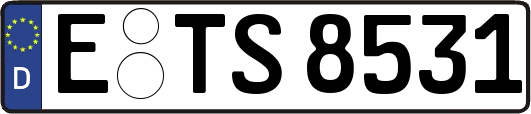 E-TS8531