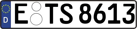E-TS8613