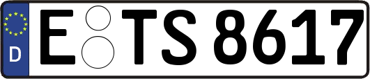 E-TS8617