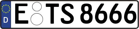 E-TS8666