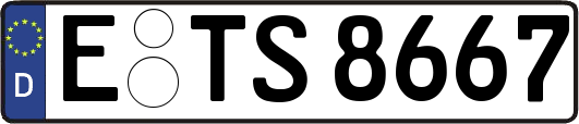 E-TS8667