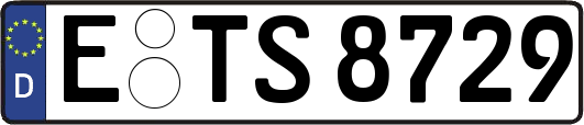 E-TS8729
