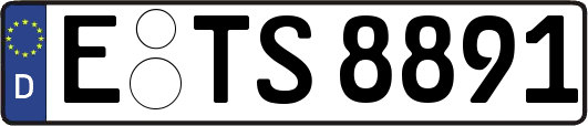 E-TS8891