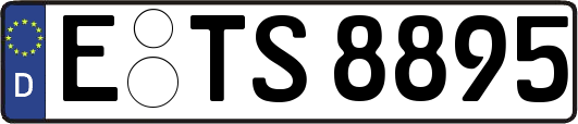 E-TS8895