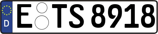 E-TS8918