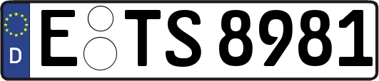 E-TS8981