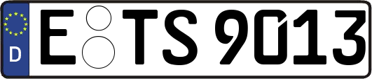 E-TS9013