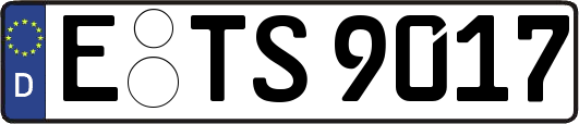 E-TS9017